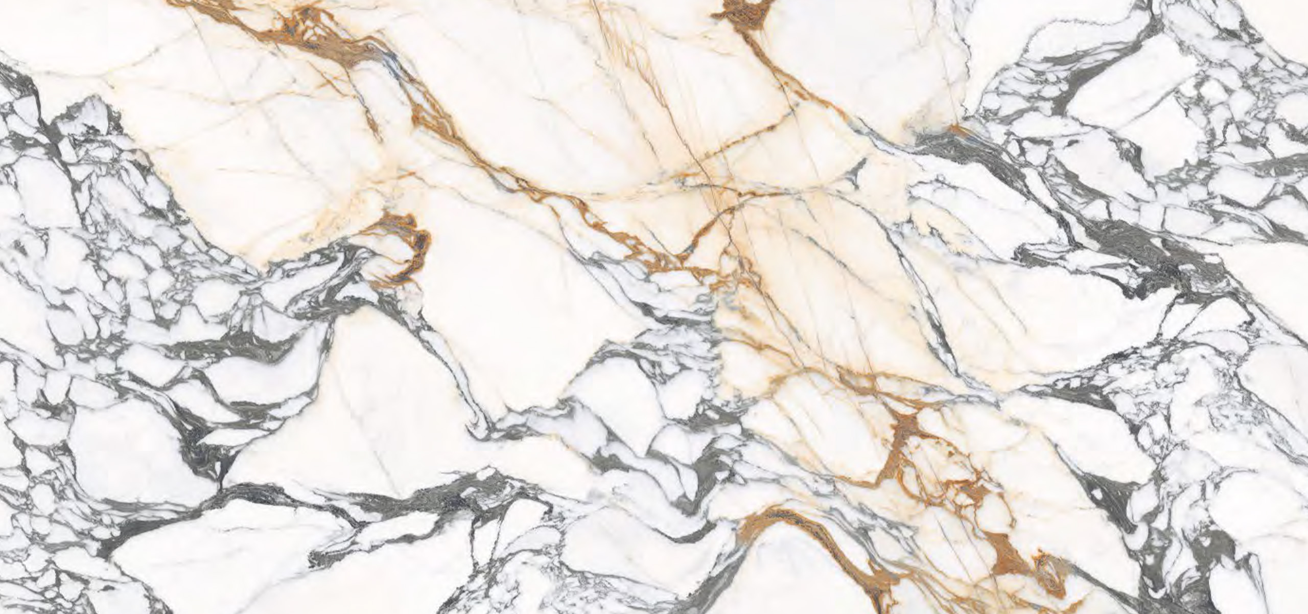 #1 Calacatta Paonazzo Full Slab Side A